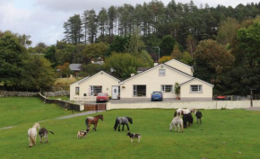 Отель Muckross Riding Stables  Килларни